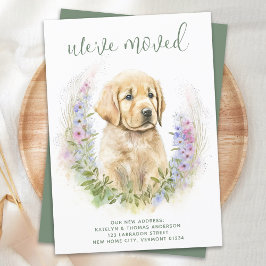 Anuncio Hemos movido a un perro acolchado de oro