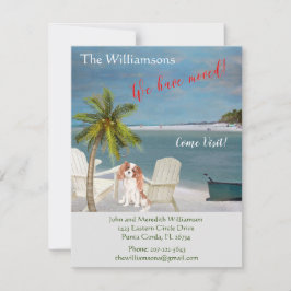 Anuncio Hemos movido el movimiento Dog Ocean Beach