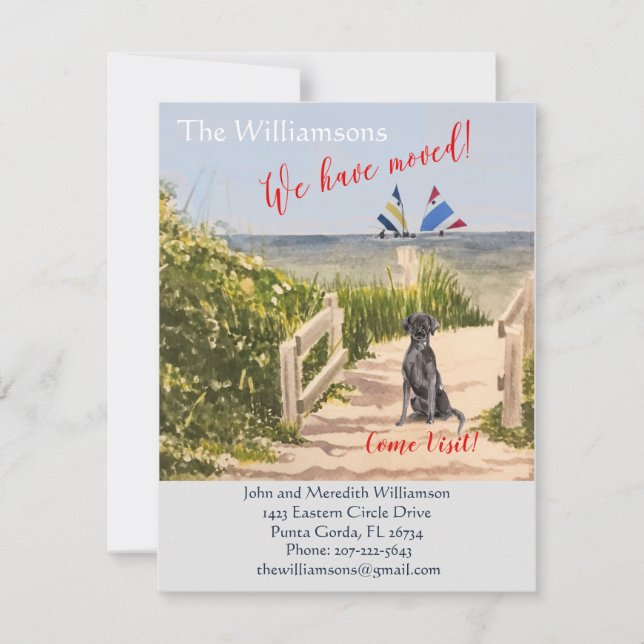 Anuncio Hemos movido el movimiento Dog Ocean Beach (Anverso)