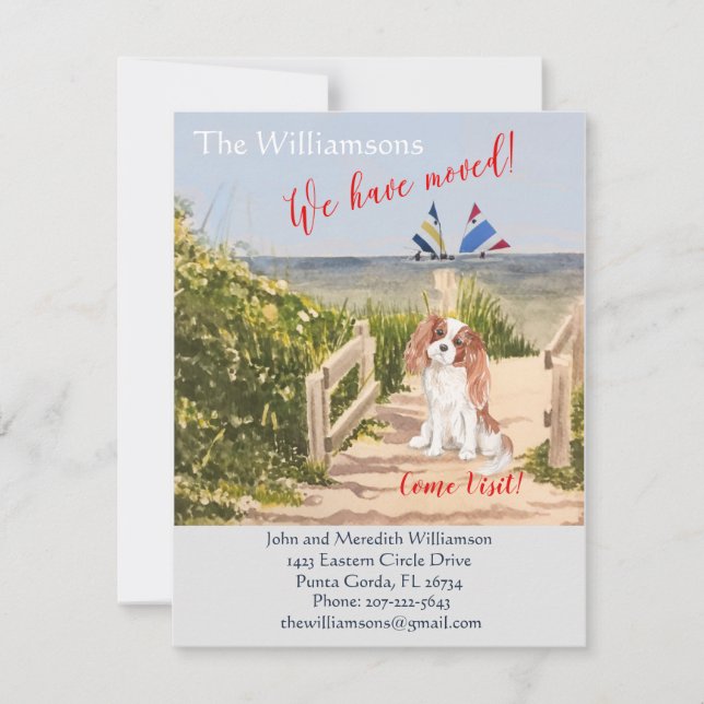 Anuncio Hemos movido el movimiento Dog Ocean Beach (Anverso)