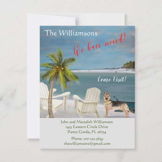 Anuncio Hemos movido el movimiento Dog Ocean Beach (Anverso)