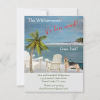 Hemos movido el movimiento Dog Ocean Beach