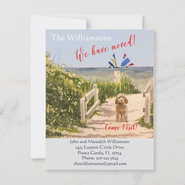 Anuncio Hemos movido el movimiento Dog Ocean Beach (Anverso)