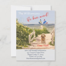 Hemos movido el movimiento Dog Ocean Beach