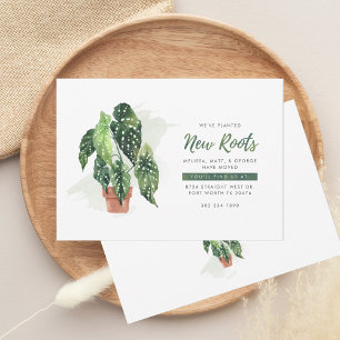 Anuncio Hemos movido la planta de acuarela en movimiento b