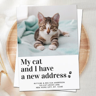 Anuncio Hemos movido mi gato I nueva dirección Mascota de
