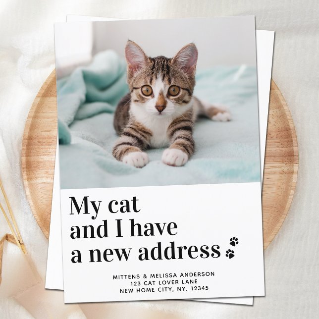 Anuncio Hemos movido mi gato I nueva dirección Mascota de  (Subido por el creador)