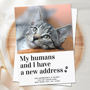 Anuncio Hemos Mudado nueva dirección Mascota de foto gatos