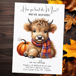 Anuncio Highland Cow Nueva dirección que hemos movido el o