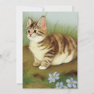 Anuncio Ilustracion de gatito vintage con flores