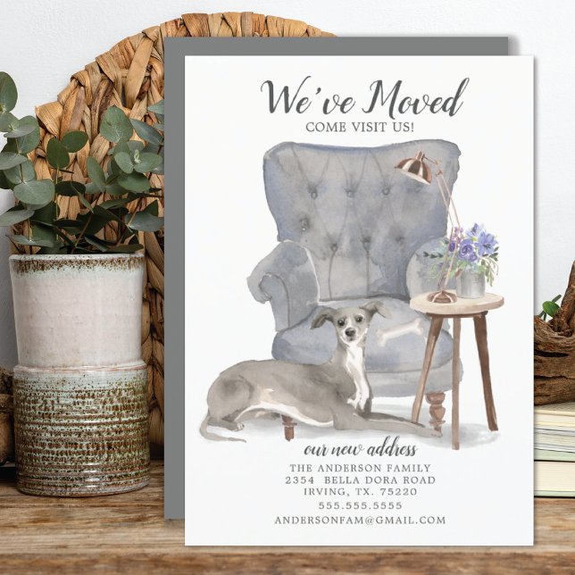 Anuncio Italian Greyhound Dog | Moving Announcement (Subido por el creador)