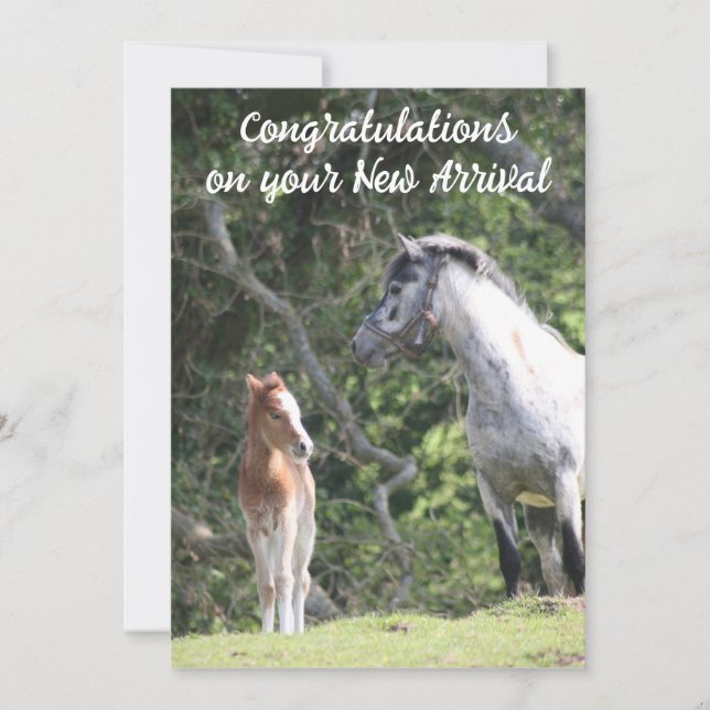 Anuncio La nueva llegada (Anverso)