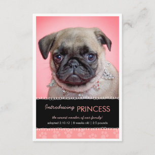 Anuncio La nueva pata del rosa del mascota imprime la