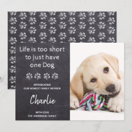 Anuncio La Vida Es Demasiado Corta Para Un Perro Nuevo Mas