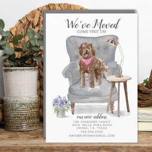 Anuncio Labradoodle Dog   Moving Announcement
