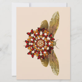 Anuncio Lantern Fly and Butterfly Mandala