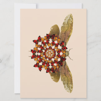 Anuncio Lantern Fly and Butterfly Mandala