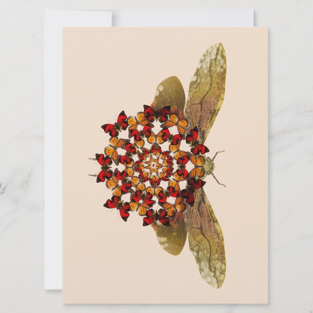 Anuncio Lantern Fly and Butterfly Mandala (Anverso)