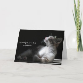 Anuncio Los gatos son ángeles vienen a la Tierra, no impor