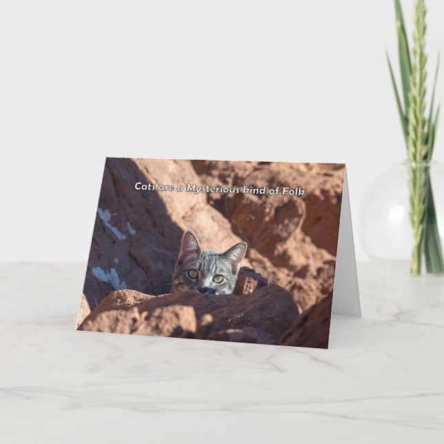 Anuncio Los gatos son un tipo misterioso de notecard folkl (Anverso)