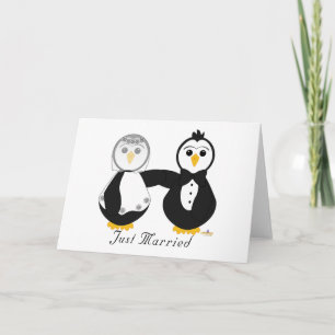 Anuncio Los pingüinos que se casan acaban de casarse