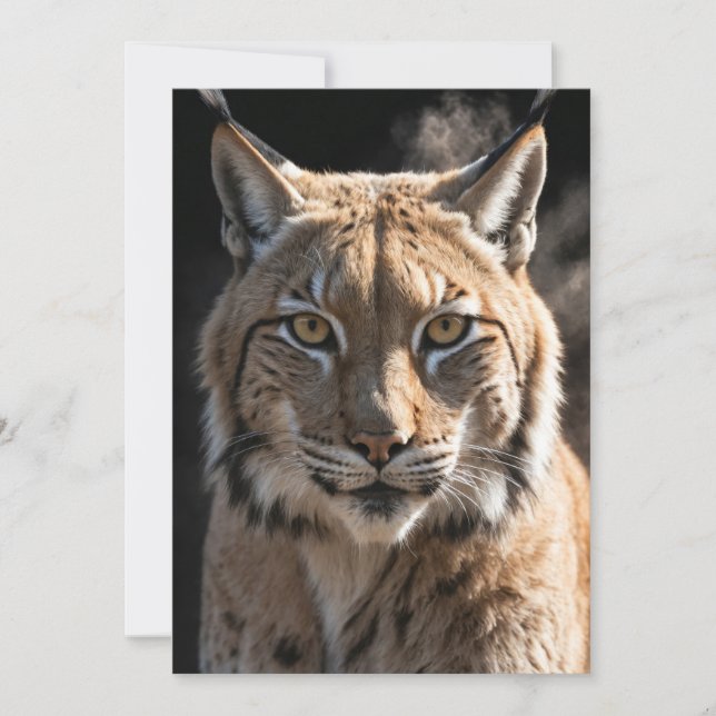 Anuncio Lynx Wild Animal Elegant Dramatic Mist Retrato (Anverso)