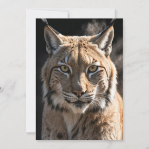 Anuncio Lynx Wild Animal Elegant Dramatic Mist Retrato