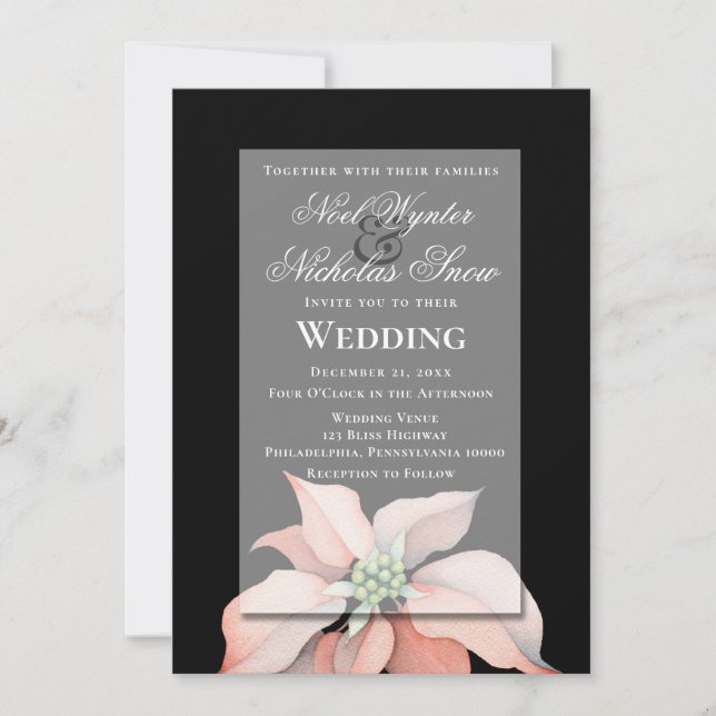 Anuncio Magia de Navidad/ Flor de Nochebuena/ Boda Negra (Anverso)