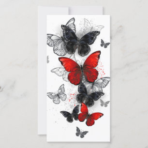 Anuncio Mariposas Morpho voladoras negras y rojas