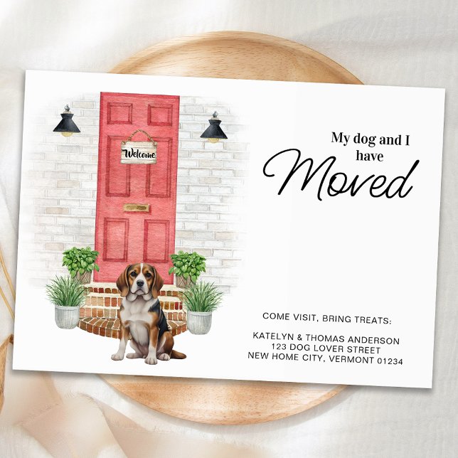 Anuncio Mi perro y yo hemos movido a un perro de Beagle (Subido por el creador)