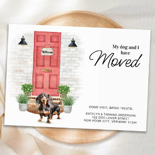 Anuncio Mi perro y yo hemos movido al perro de Dachshund