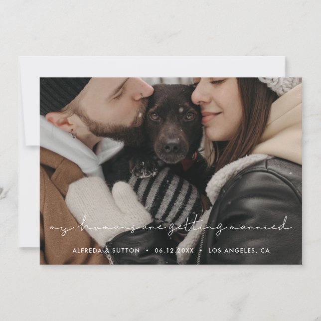 Anuncio Mis seres humanos se están casando Mascota. (Anverso)