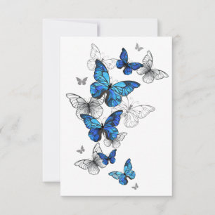 Anuncio Morfo de las mariposas voladoras azules