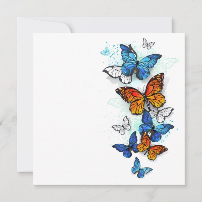 Anuncio Morfo y monarca de las mariposas voladoras (Anverso)