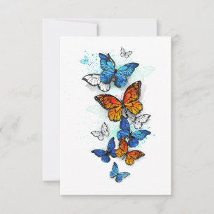 Anuncio Morfo y monarca de las mariposas voladoras