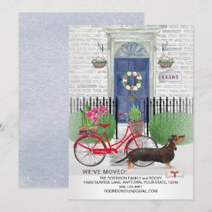 Anuncio Moving Black Dachshund Dog Bicycle Dog New Home