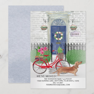 Anuncio Moving Brown Dachshund Dog Bicycle Dog New Home