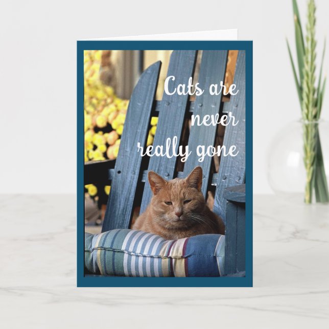 Anuncio Naranja Tabby Cat sobre la Silla Azul (Anverso)