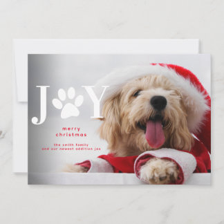 Anuncio Navidades de New Dog Puppy Joy Paw