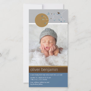 Anuncio Nesting Bird Family Simple Baby Boy Photo Nacer
