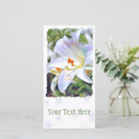 Nilo de Pascua [Tarjeta guía plana] 案 内 状