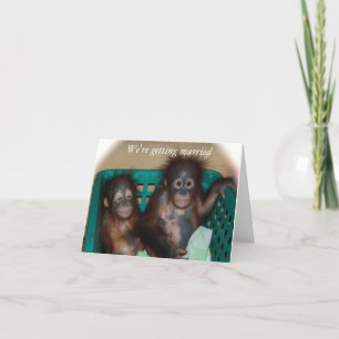 Anuncio Nos estamos casando dulce y caprichoso
