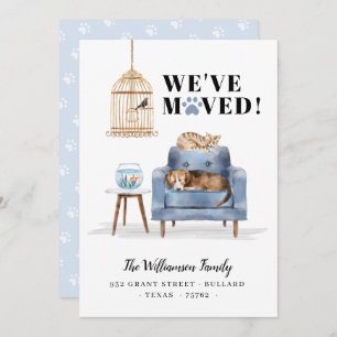 Anuncio Nos hemos mudado como nuevo perro y gato durmiendo