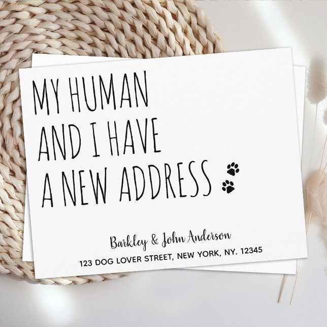 Anuncio Nos Hemos Mudado De Nuevo Mascota De Perro De Dire (Subido por el creador)