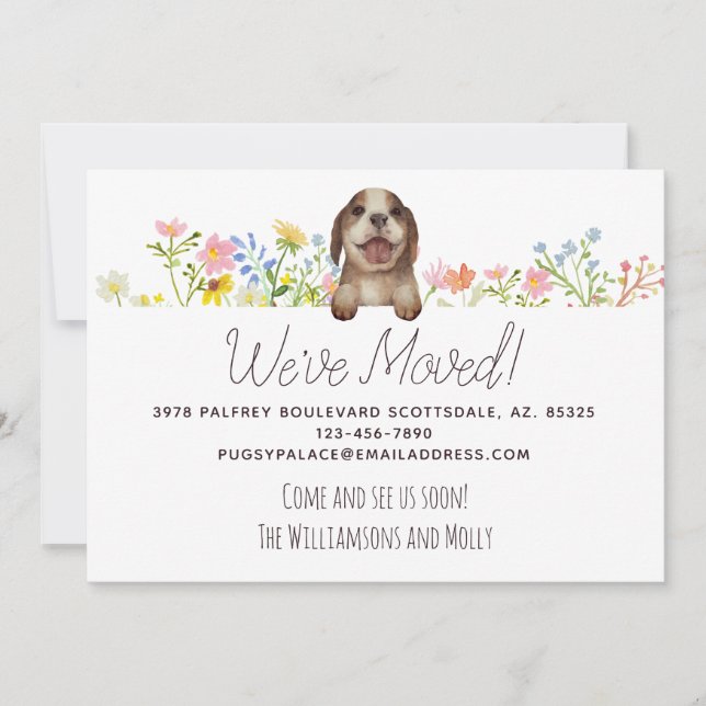 Anuncio ¡Nos hemos mudado! Movimientos Florales De Beagle  (Anverso)