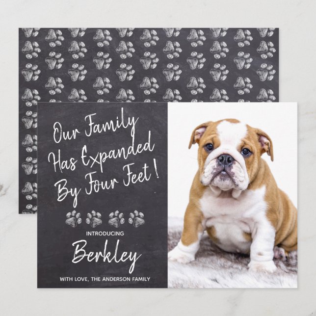 Anuncio Nuestra familia se expande por un perro Mascota de (Anverso / Reverso)