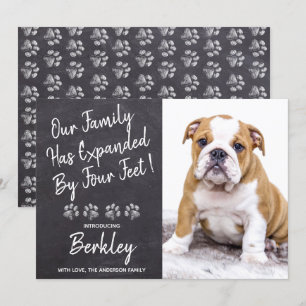 Anuncio Nuestra familia se expande por un perro Mascota de