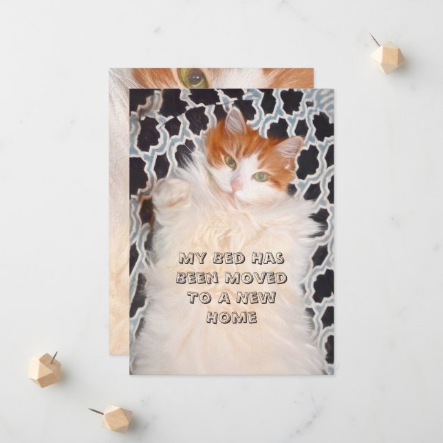 Anuncio Nueva dirección de movimiento de gato divertida (Anverso/Reverso In Situ)