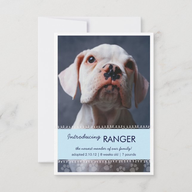 Anuncio Nuevas Mascotas de pintura azul masculina para Inv (Anverso)