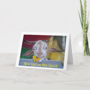 ANUNCIO NUEVO CHICO EN EL BLOQUE-***RECIÉN NACIDO***